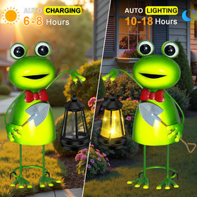 Bright natural colors bring a lively focal point to any outdoor setting