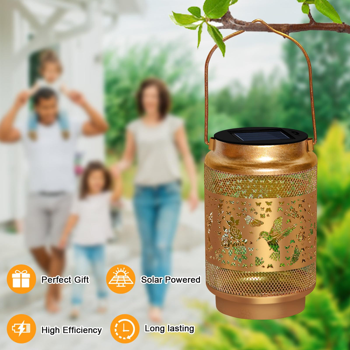 EDOF waterproof lanterns brighten garden paths through rainy days.