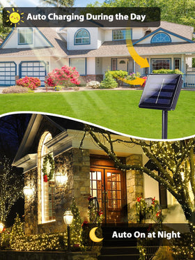 EEW eight lighting modes for versatile dusk-to-dawn ambiance.