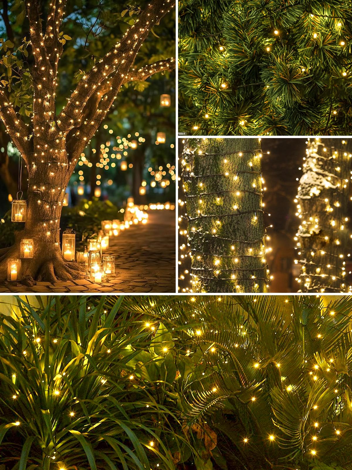 EEW IP65 waterproof solar lights for all-weather outdoor use.