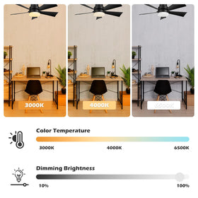 Color temperature range from warm to cool for ambience