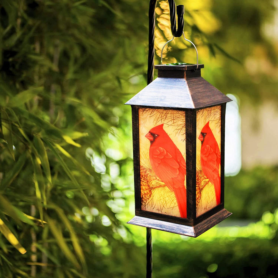 EiGreen solar lantern with red bird pattern brightens garden ambience for evenings