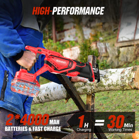 Eioehtl rapid charger replenishes batteries in about 1.5 hours.