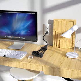 Elecan outdoor decor setup with four outlets for lighting.