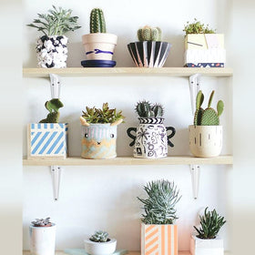 Industrial farmhouse style brackets enhance shelf display