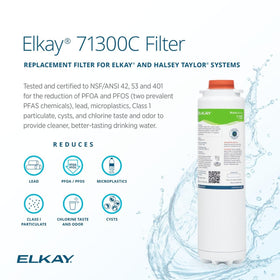 Elkay WaterSentry 71300C quick-disconnect install enables fast, clean filter changes