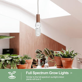 EMART incandescent-equivalent 225W output in daylight setup.