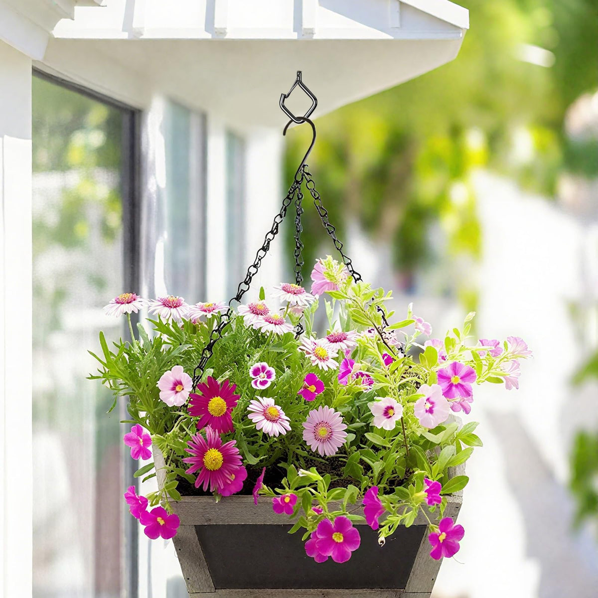 Emiluil bird feeder hanging on a sturdy eye hook
