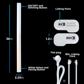 Enbrighten light bar offers five color temperatures from 2700K to 6500K for customizable ambiance.
