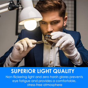 Energetic Lighting 12-pack daylight bulbs for home or office.