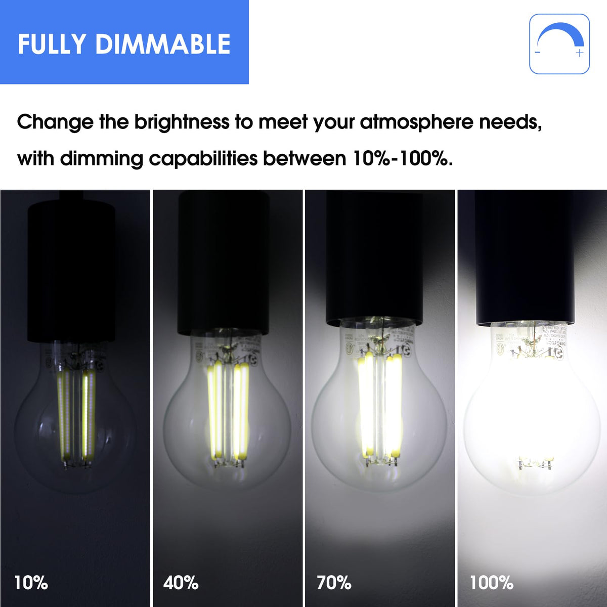 Energetic Lighting 5000K daylight A19 bulb ideal for kitchens and living rooms.