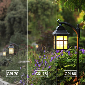 Energetic Lighting 60W-equivalent LED bulb offers familiar brightness with energy savings.