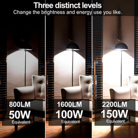 Energetic Lighting A21 daylight 5000K illumination reveals crisp color rendering.