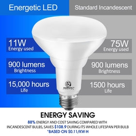 Energetic Lighting BR30 dimmable bulb damp-rated indoor use