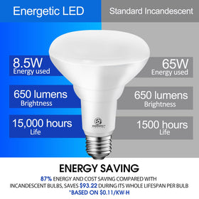 Energetic Lighting BR30 damp-rated bulb for bathrooms and kitchens.