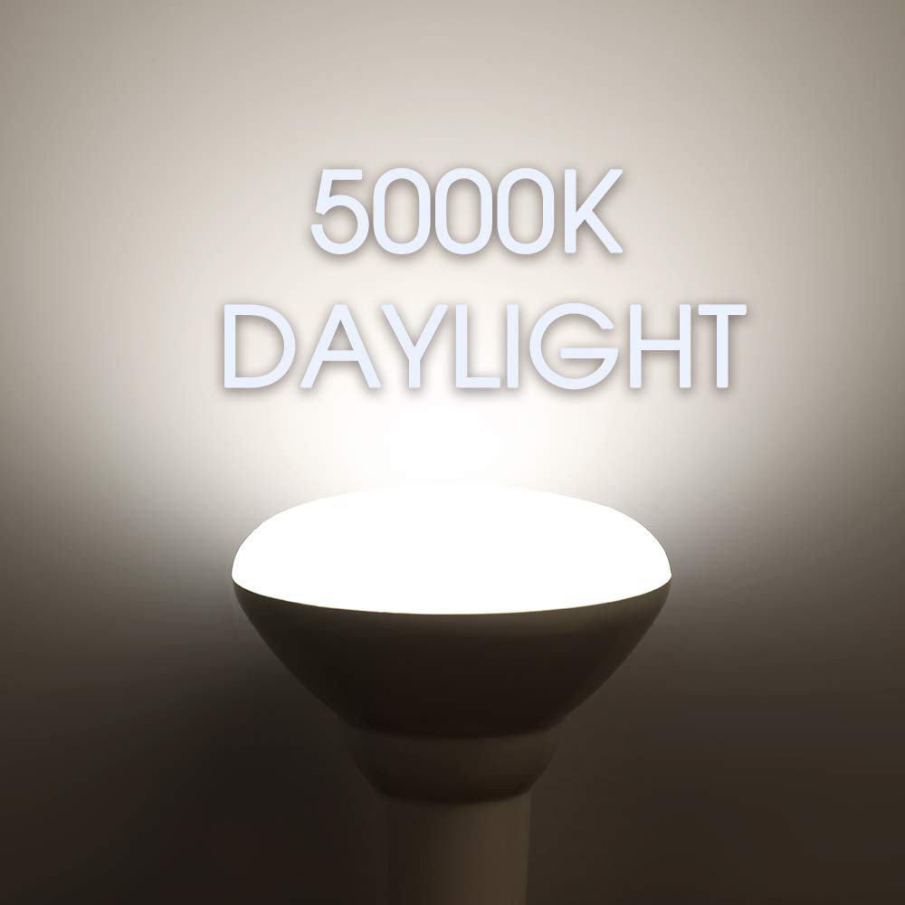 Energetic Lighting BR30 LED bulb energy-saving choice.