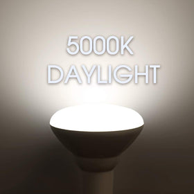 Energetic Lighting BR30 LED bulb energy-saving choice.