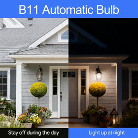 Energetic Lighting 5000K daylight bulbs deliver crisp, natural color for outdoor entryways.
