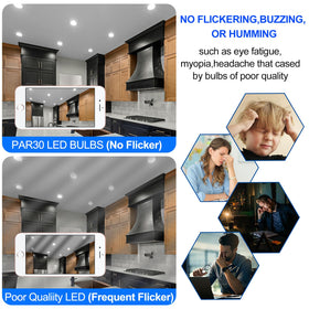 Energetic Lighting E26 base PAR30 flood light for recessed fixtures.