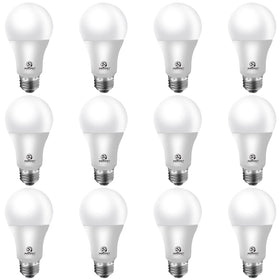 Energetic Lighting Energetic A19 daylight 5000K bulb for bright, energy-saving rooms.