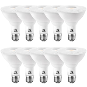 Energetic Lighting PAR30 bulbs 10-pack for outdoor porch illumination.