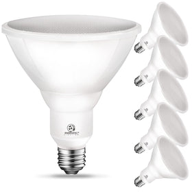 Energetic Lighting PAR38 LED Flood Bulb delivers 900 lumens for bright outdoor lighting.
