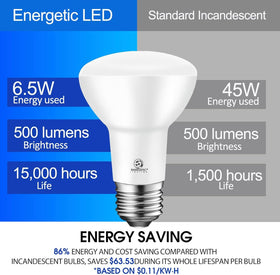 Energetic Lighting UL-listed bulb supports safe, indoor use
