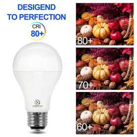 Energetic Lighting versatile bulb suitable for fixtures and flood lamps.