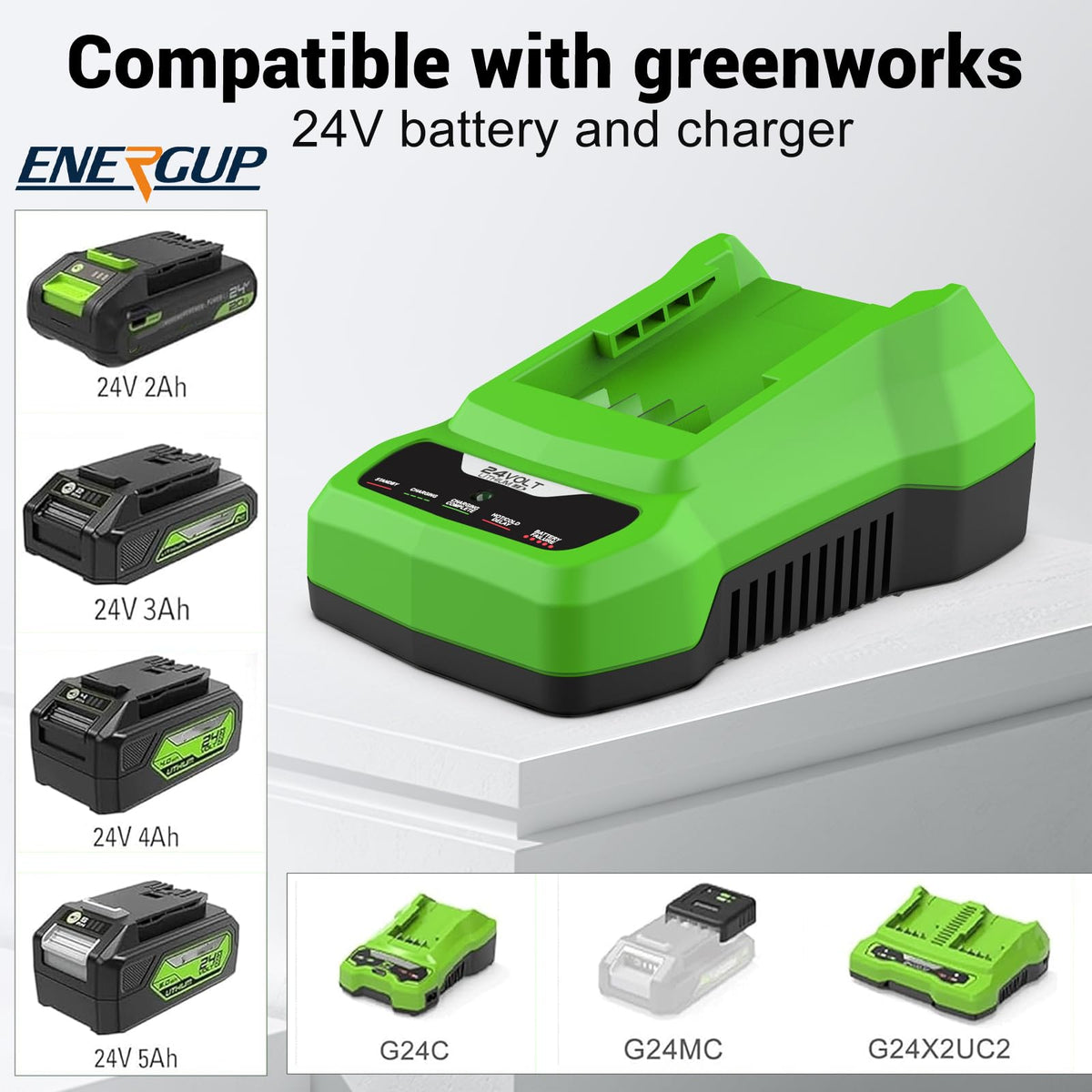 Energup 24V CAF806 charger back view showing wall-mount holes.