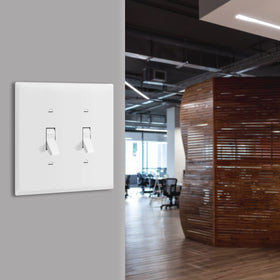 2-gang ENERLITES wall plate fits standard configurations and outlets.