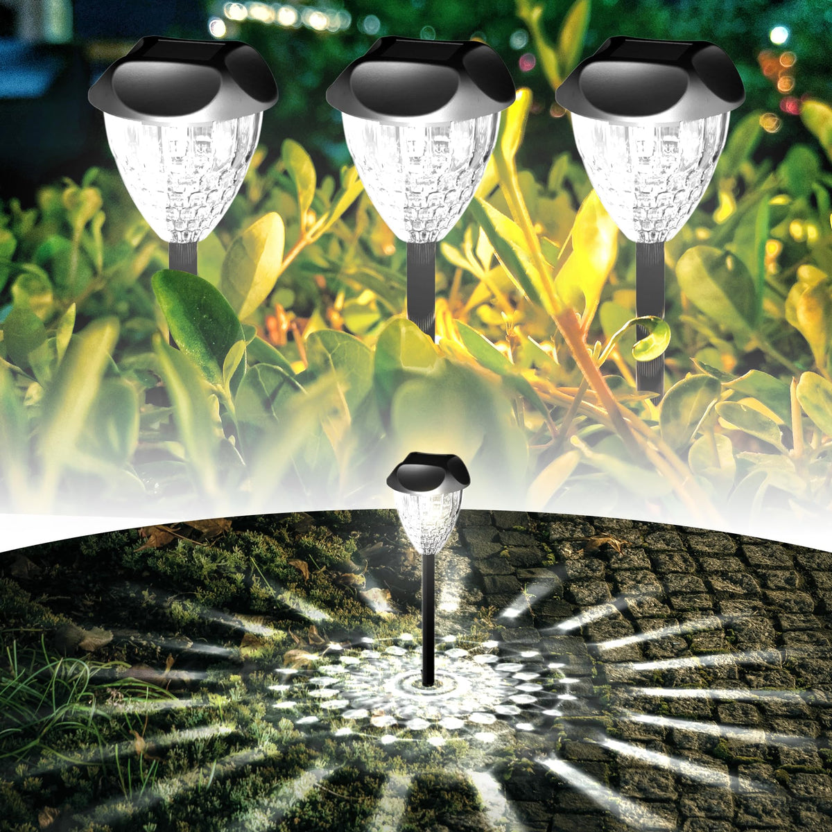 Ensenior landscape lighting enhances patios and planters with inviting ambiance.