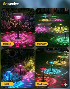 Ensenior solar lights auto on at dusk for hands-free convenience.