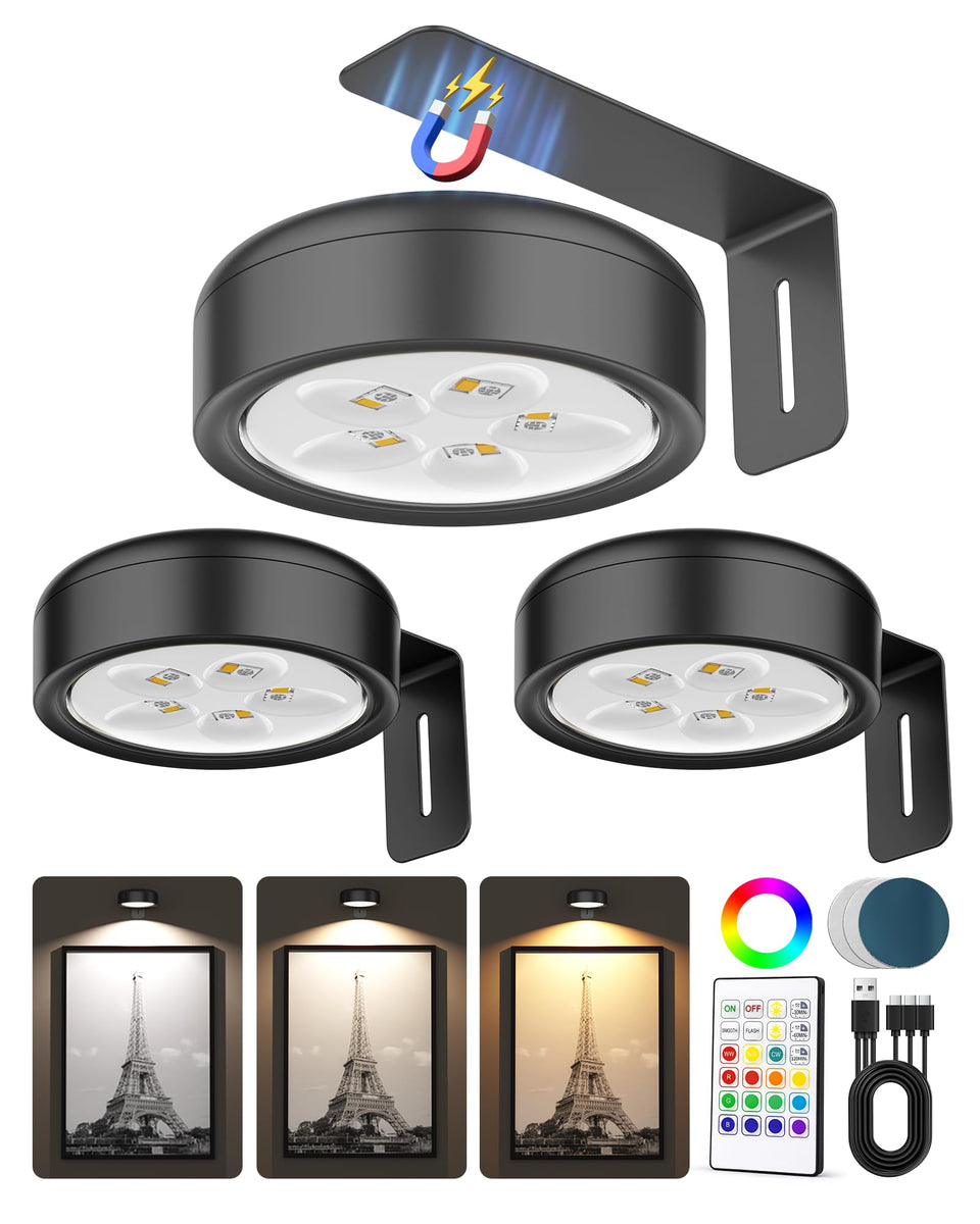 ERMTCTS 3-pack picture light above artwork delivering even illumination.