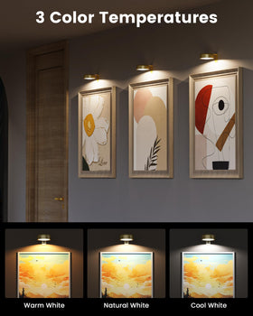 ERMTCTS picture light with 3 color temperatures for accurate ambiance