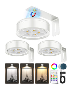 ERMTCTS picture light on wall display highlighting artwork with even illumination