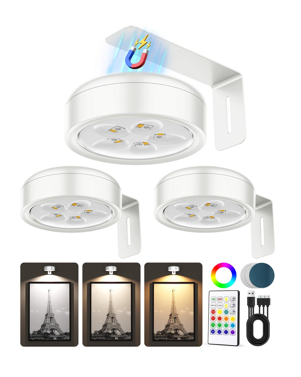 ERMTCTS picture light on wall display highlighting artwork with even illumination