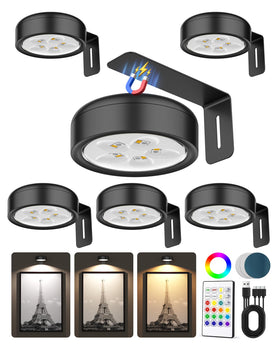 ERMTCTS picture light on wall with magnetic setup for easy installation