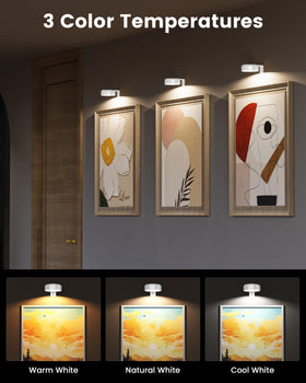 ERMTCTS 12 RGB colors for vibrant art display accents
