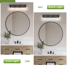 Espird vanity light mounted up or down for versatile room design.