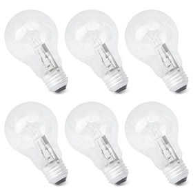 Esttlamer six-pack halogen bulbs in a lamp show versatile A19 compatibility and easy replacement