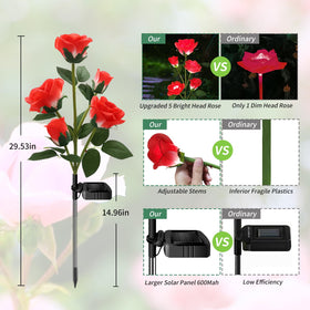 Etre Jeune solar rose lights close-up of five-headed stems for lifelike detail