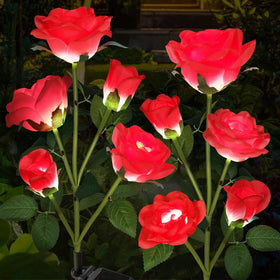 Etre Jeune solar rose lights with five heads brighten a garden path