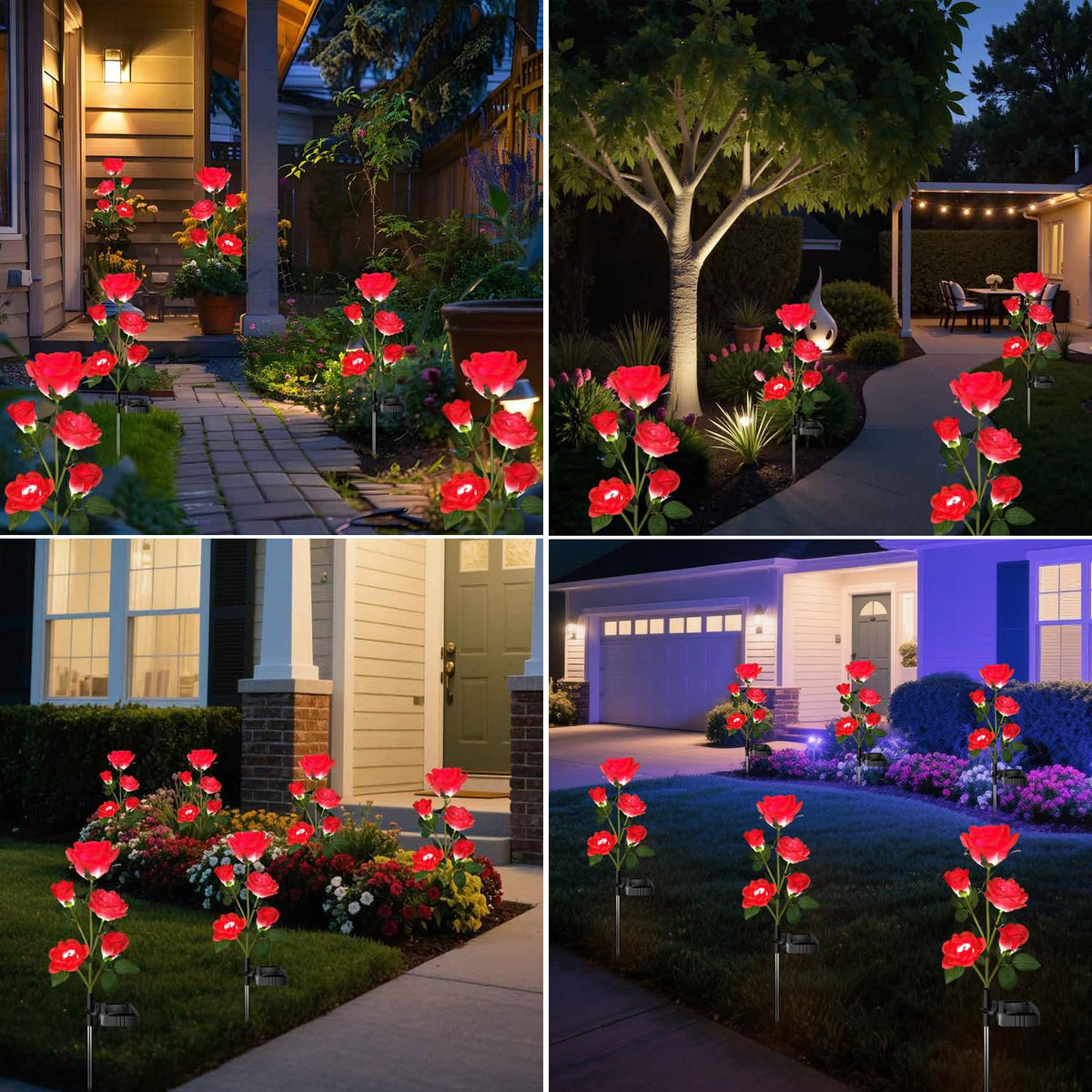 Etre Jeune solar rose lights illuminate pathways with a soft glow