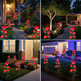 Etre Jeune solar rose lights illuminate pathways with a soft glow