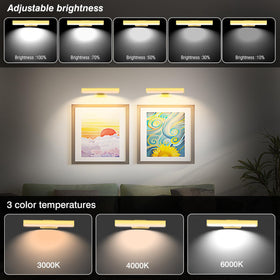 EUIOKUN remote controls shown for convenient, wireless lighting of artwork.