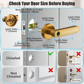 Evanshow smart lock security illustrating biometric access