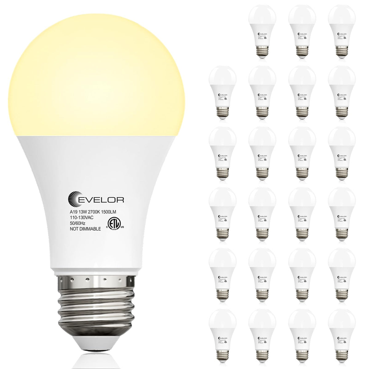 Evelor 24-pack A19 bulbs front view for easy replacement and broad room illumination