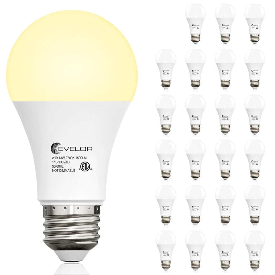 Evelor 24-pack A19 bulbs front view for easy replacement and broad room illumination