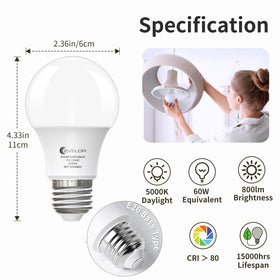 evelor A19 LED bulb showing 60W-equivalent brightness and efficiency