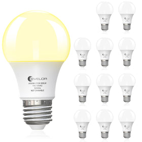 Evelor A19 LED bulb close-up showing 2700K warm white for cozy spaces.